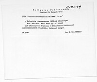 Image Associated With the Occurrence